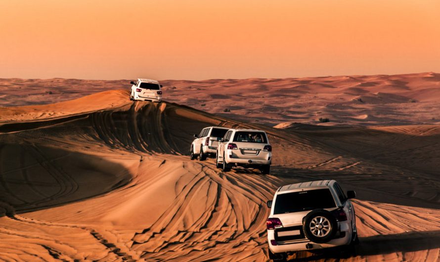 What Makes for The Best Desert Safari in Dubai?